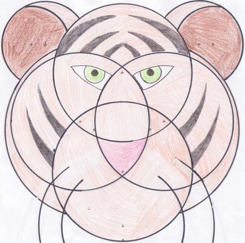 Les animaux compassés Collège Jean Corentin Carré