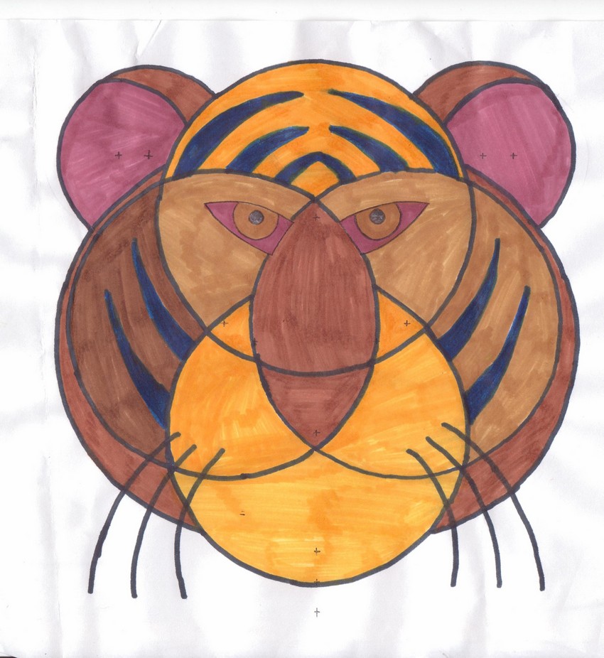 Les animaux compassés Collège Jean Corentin Carré